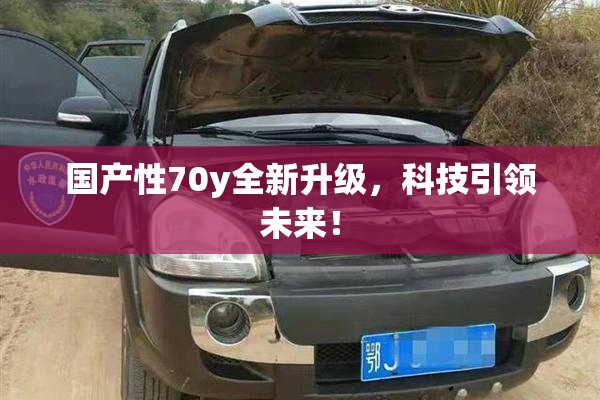 国产性70y全新升级，科技引领未来！