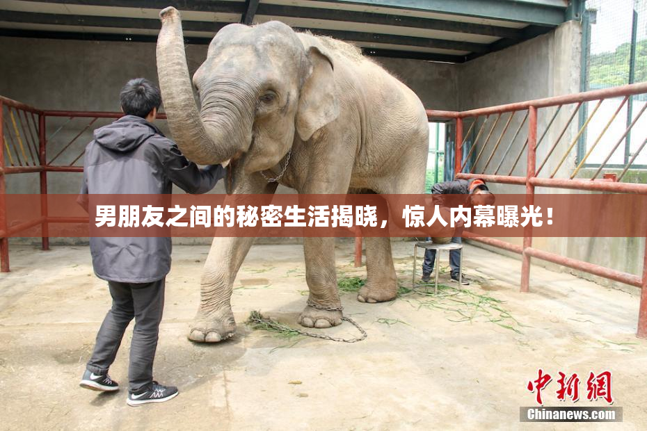 男朋友之间的秘密生活揭晓，惊人内幕曝光！