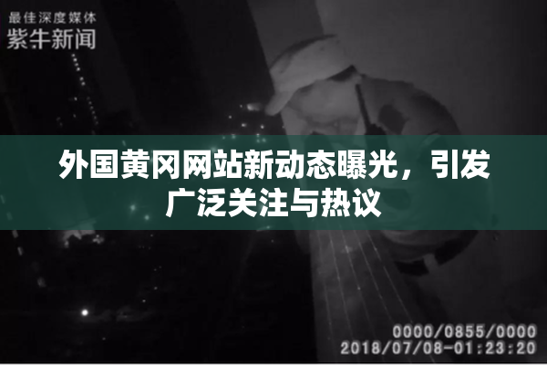 外国黄冈网站新动态曝光，引发广泛关注与热议