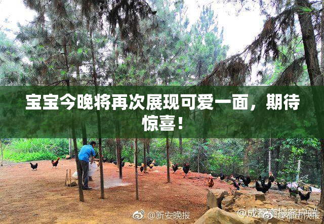 宝宝今晚将再次展现可爱一面，期待惊喜！