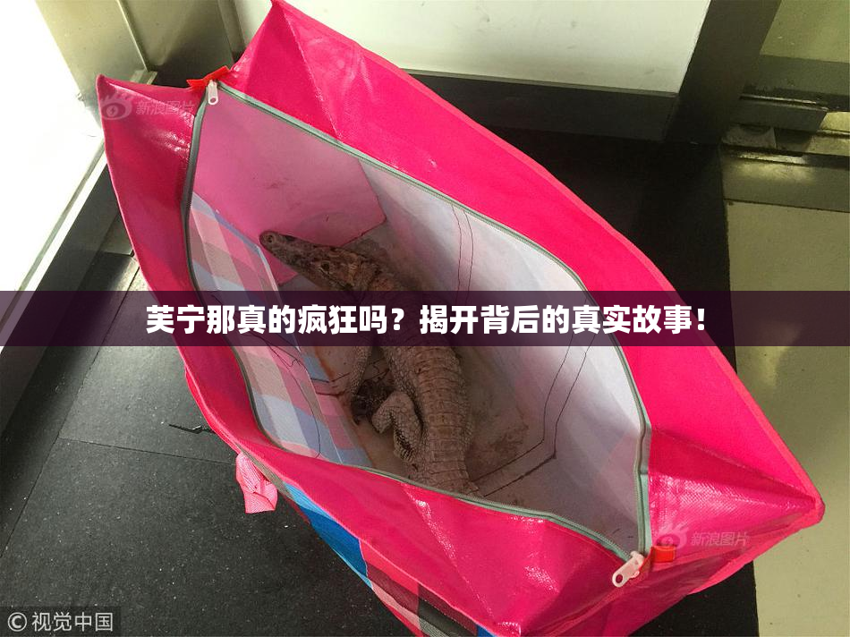 芙宁那真的疯狂吗？揭开背后的真实故事！