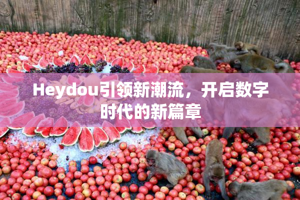Heydou引领新潮流，开启数字时代的新篇章