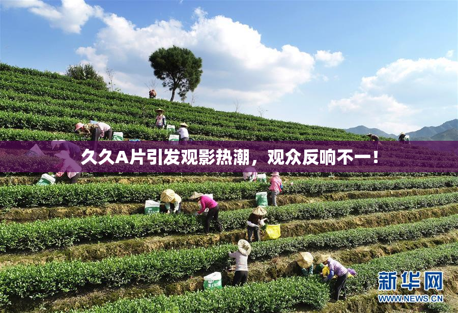 久久A片引发观影热潮，观众反响不一！