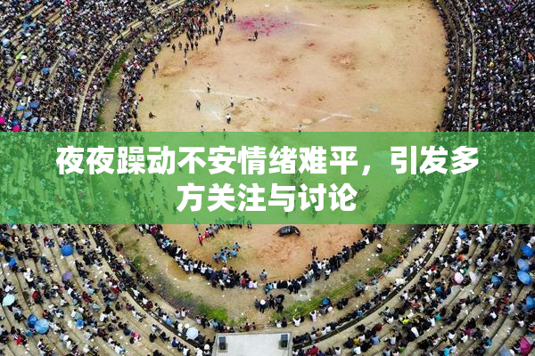夜夜躁动不安情绪难平，引发多方关注与讨论