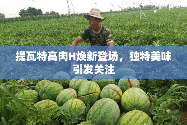 提瓦特高肉H焕新登场，独特美味引发关注