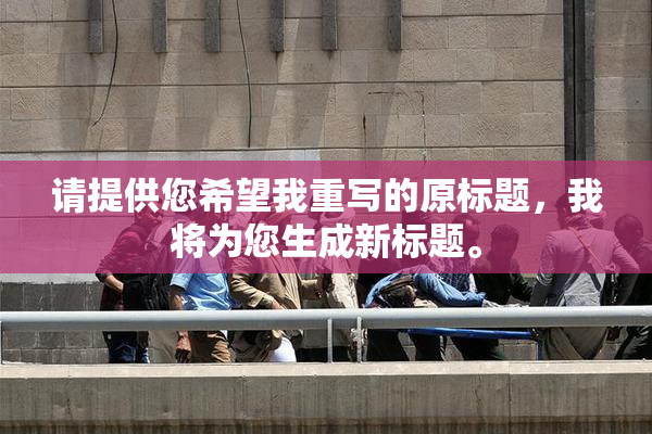 请提供您希望我重写的原标题，我将为您生成新标题。
