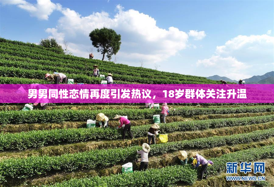 男男同性恋情再度引发热议，18岁群体关注升温