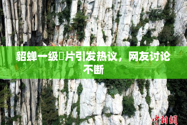 貂蝉一级婬片引发热议，网友讨论不断
