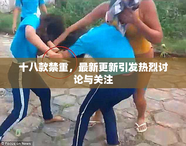十八款禁重，最新更新引发热烈讨论与关注