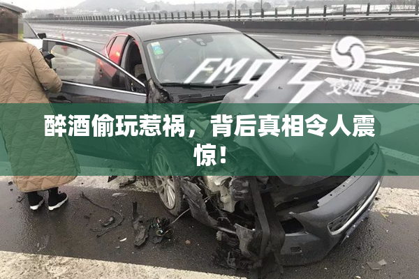 醉酒偷玩惹祸，背后真相令人震惊！