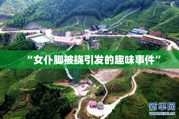 “女仆脚被挠引发的趣味事件”