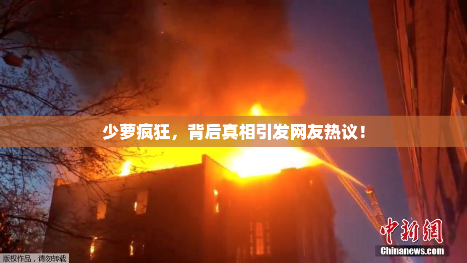 少萝疯狂，背后真相引发网友热议！