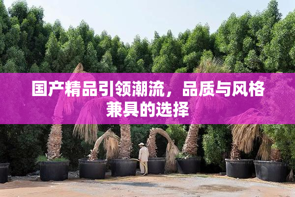 国产精品引领潮流，品质与风格兼具的选择
