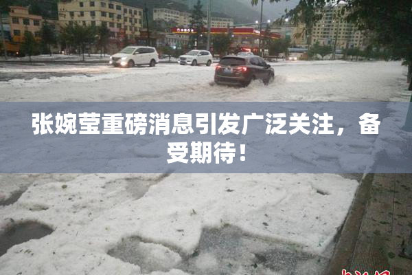 张婉莹重磅消息引发广泛关注，备受期待！