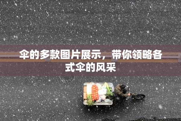 伞的多款图片展示，带你领略各式伞的风采