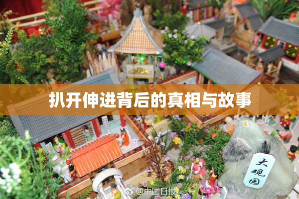 扒开伸进背后的真相与故事