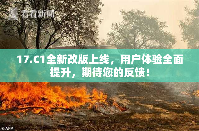 17.C1全新改版上线，用户体验全面提升，期待您的反馈！