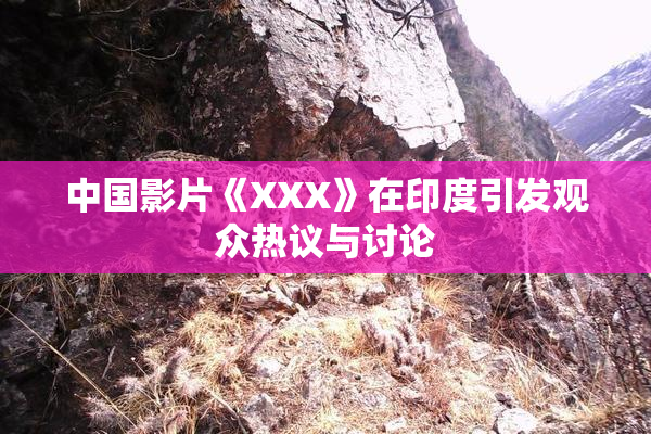 中国影片《XXX》在印度引发观众热议与讨论