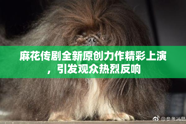 麻花传剧全新原创力作精彩上演，引发观众热烈反响