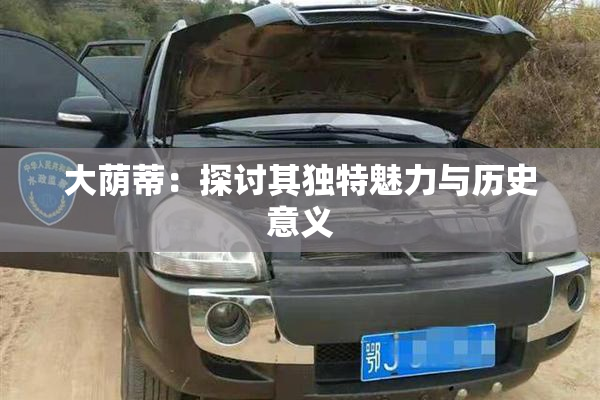 大荫蒂：探讨其独特魅力与历史意义