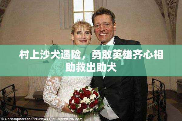 村上沙犬遇险，勇敢英雄齐心相助救出助犬
