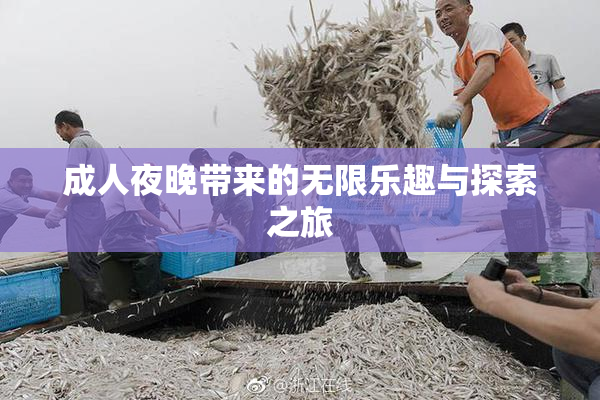 成人夜晚带来的无限乐趣与探索之旅