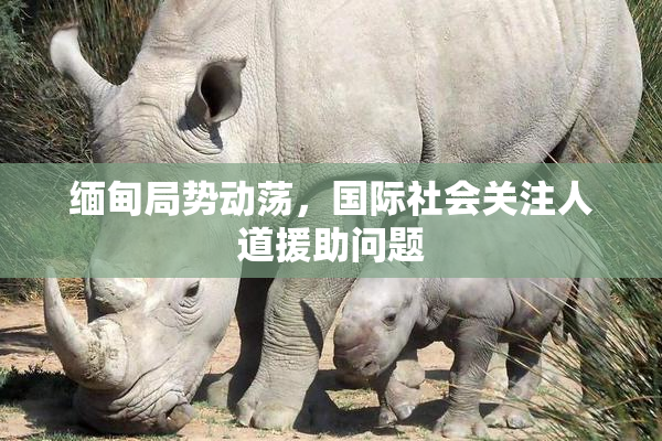 缅甸局势动荡，国际社会关注人道援助问题