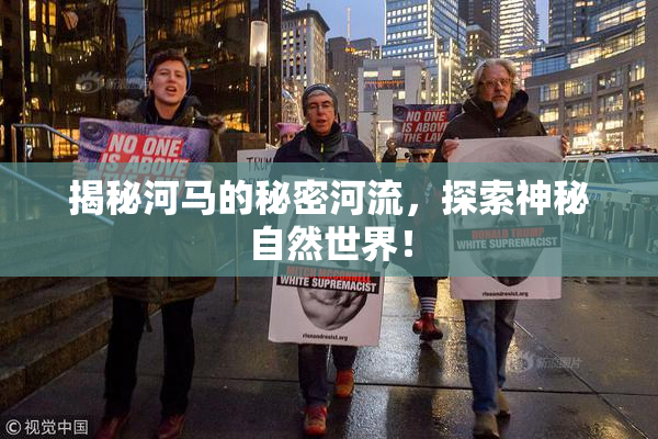 揭秘河马的秘密河流，探索神秘自然世界！