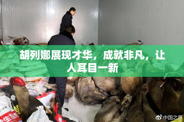 胡列娜展现才华，成就非凡，让人耳目一新