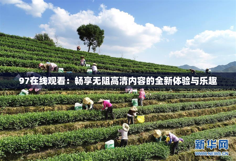 97在线观看：畅享无阻高清内容的全新体验与乐趣