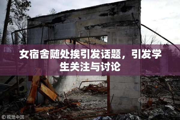女宿舍随处挨引发话题，引发学生关注与讨论