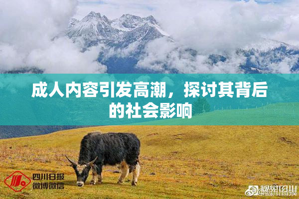 成人内容引发高潮，探讨其背后的社会影响