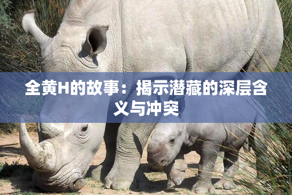 全黄H的故事：揭示潜藏的深层含义与冲突