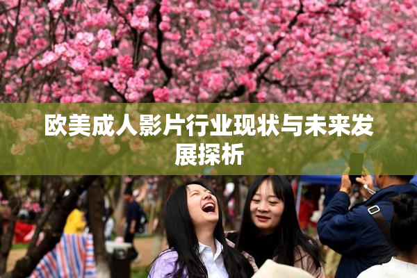欧美成人影片行业现状与未来发展探析