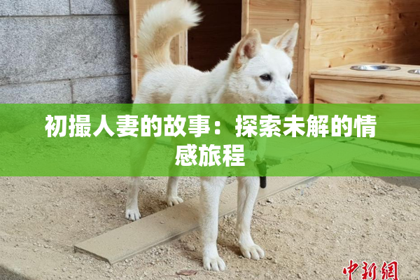 初撮人妻的故事：探索未解的情感旅程