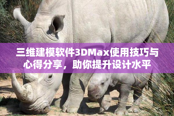 三维建模软件3DMax使用技巧与心得分享，助你提升设计水平
