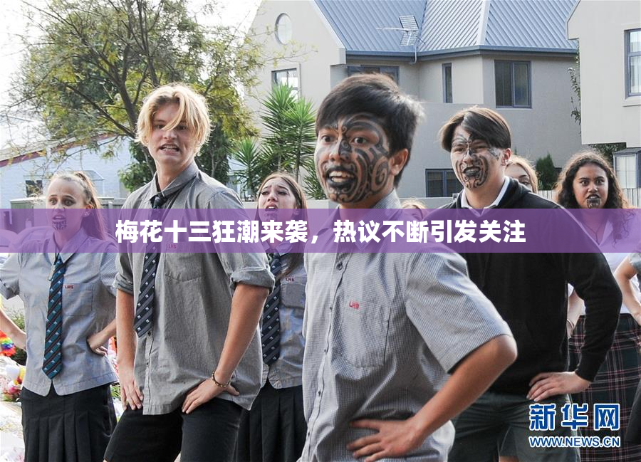 梅花十三狂潮来袭，热议不断引发关注