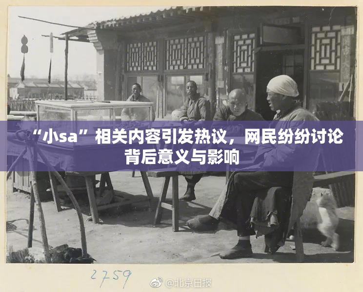 “小sa”相关内容引发热议，网民纷纷讨论背后意义与影响