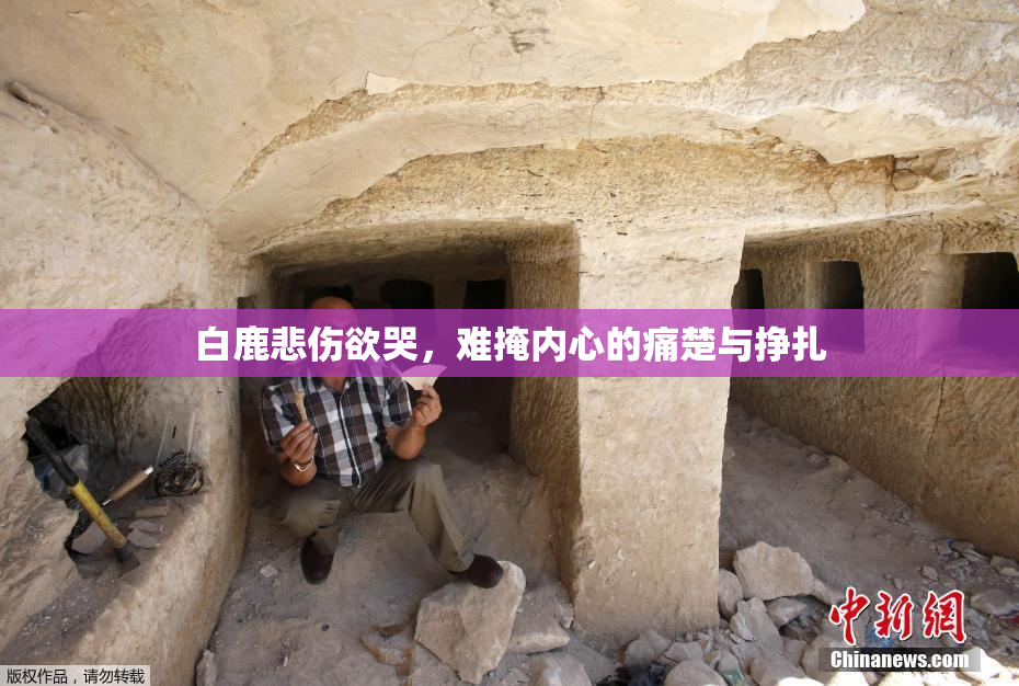 白鹿悲伤欲哭，难掩内心的痛楚与挣扎