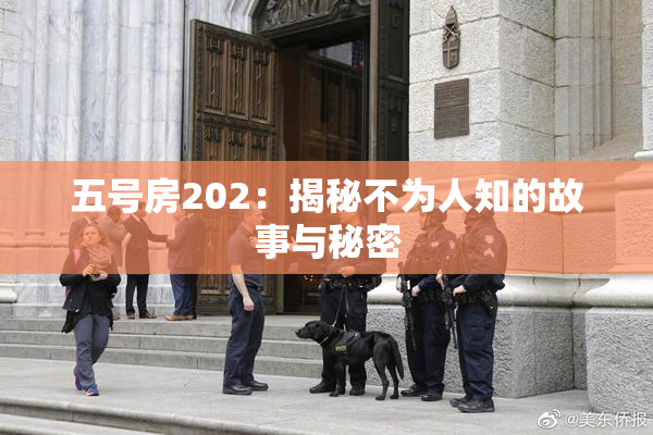 五号房202：揭秘不为人知的故事与秘密