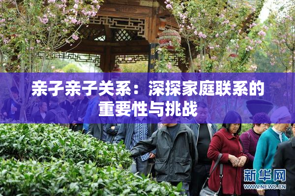 亲孑亲子关系：深探家庭联系的重要性与挑战
