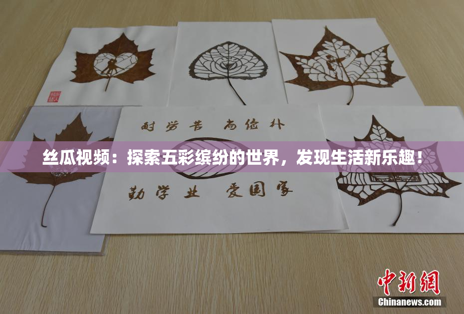 丝瓜视频：探索五彩缤纷的世界，发现生活新乐趣！