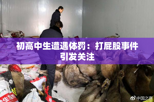 初高中生遭遇体罚：打屁股事件引发关注