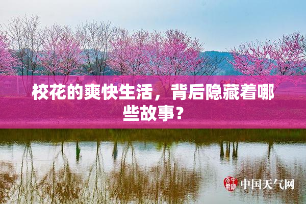 校花的爽快生活，背后隐藏着哪些故事？