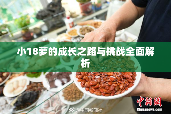 小18萝的成长之路与挑战全面解析