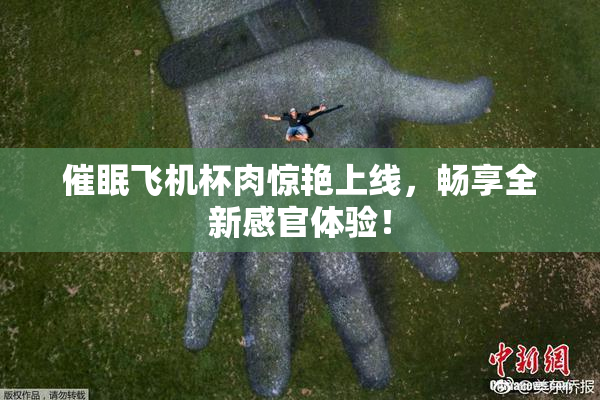 催眠飞机杯肉惊艳上线，畅享全新感官体验！