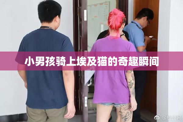 小男孩骑上埃及猫的奇趣瞬间