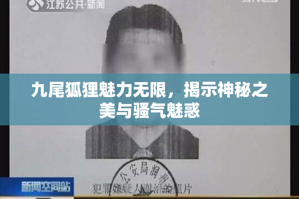 九尾狐狸魅力无限，揭示神秘之美与骚气魅惑