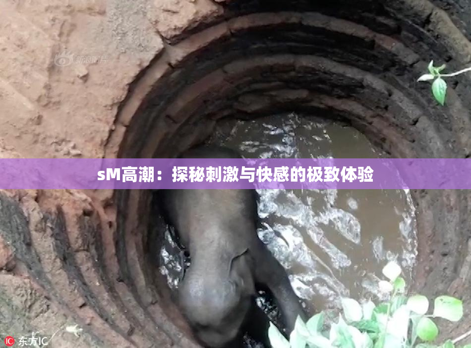 sM高潮：探秘刺激与快感的极致体验