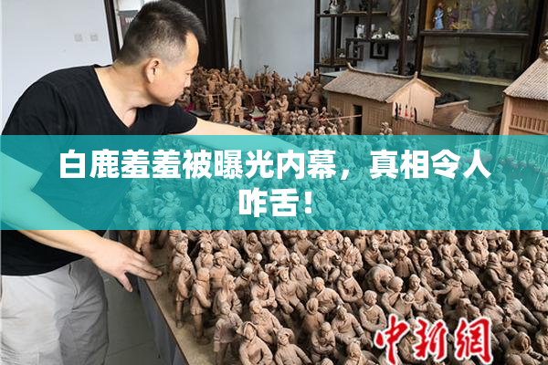 白鹿羞羞被曝光内幕，真相令人咋舌！